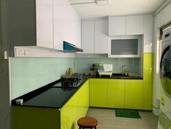 Blk 250 Pasir Ris Street 21 (Pasir Ris), HDB Executive #437989291